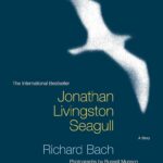 Unlimited Potential: The Inspiring Journey of Jonathan Livingston Seagull by Richard Bach